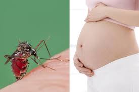 Image result for cdc zika virus infection