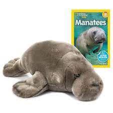 Wildlife Tree 12 Pack Polar Bear Mini 4 Small Stuffed Animals Bulk Bundle Zoo Animal Toys Arctic Party Favors For Kids Walmart Com Pet Toys Cute Stuffed Animals Small Stuffed Animals