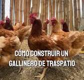 Cómo construir un gallinero de traspatio para producir huevos