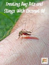Coconut Oil For Bug Bites And Bee Stings Bites And Stings Coconut Oil Coconut Health
