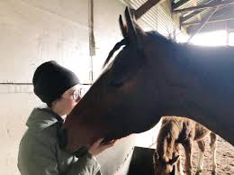It's been 6 years since George was euthanized due to a sudden onset of  neurological issues. Crazy how time flies. I missed writing this on the  anniversary of his death: February 12.