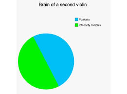 Thoughts Of Classical Music Professionals In Pie Charts