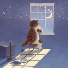 빨리와요 외로워요 I Feel So Lonely Here Without You 일러스트 그림 그림스타그램 동물 고양이 애묘 색연필 스케치 드로윙 습작 손그림 Illustration Art Illustrator 동물 수채화 삽화 귀여운 고양이