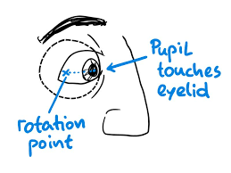 Maybe you would like to learn more about one of these? Making Eyes That See Animator Island