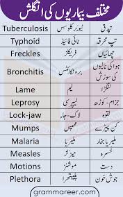 Diseases Names In English With Urdu Meanings Grammareer English Vocabulary Words English Learning Books English Vocabulary List