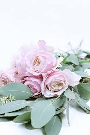 But after you read these tips, you. Diy No Vase Flower Arrangement Or Roses Under The Dome The Smell Of Roses The Smell Of Roses