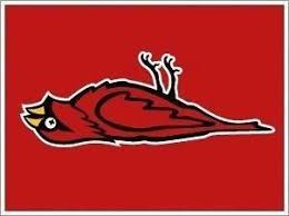 Dead Birds 2012 World Series Nfl Logo Football Funny Arizona Cardinals Funny