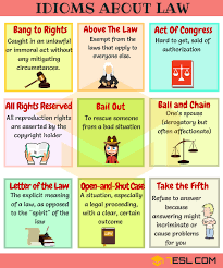 A statement indicating that the copyright holder reserves, or holds for their own use, all the rights provided by copyright law, such as distribution, performance, and creation of derivative works; Useful Legal Law Idioms Sayings And Phrases 7esl