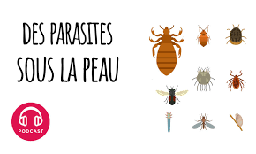 This is sous la peau by académie des césar on vimeo, the home for high quality videos and the people who love them. Podcast Choses A Savoir Quels Sont Les Parasites Qui Vivent Sous Notre Peau