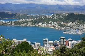 Wellington Wellington New Zealand Cityscape