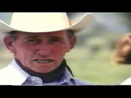 Taco -THE COOLEST- Buckskin Around