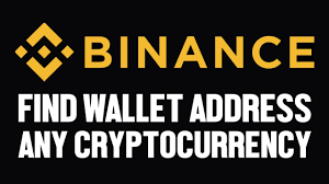 We did not find results for: How To Find Your Wallet Address On Binance Any Cryptocurrency Youtube