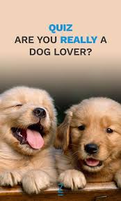 Pin On Zimbio Quizzes