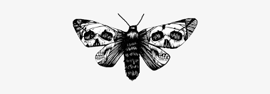 Mens tattoos menstattoos tattoos for men tattoo tattoos tattoo design tattoo ideas tattoodesigns. Tumblr Transparent Wings Moth Tattoo With Skull Png Image Transparent Png Free Download On Seekpng