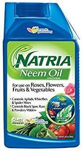 Control spider mites with a spider mite killer before it's too late. Bayer Advanced Natria 706240 Neem Oil Concentrate Pest Control 24 Ounce Amazon Co Uk Garden Outdoors Get Rid Of Aphids Aphids Organic Pest Control