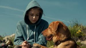 Throughout the night the canadian actor posted updates to his numerous followers, about his dog's delicate condition. White God 2014 1 2 3 5 4 The Dogs Of Revolution Seongyong S Private Place