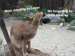 Clean Your Legos Memes See more of funny and clean memes on facebook. clean your legos memes