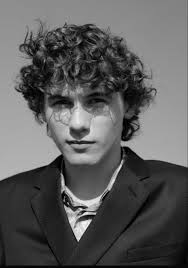 What does the Lotus flower look like ?