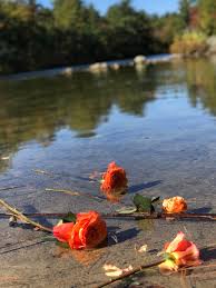 2019 Commemoration — The Massachusetts Center for Unexpected Infant and  Child Death