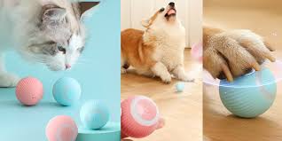 The Importance of Toys and Playtime for Pets: Boosting Health and Happiness  | by Pawsome PetsLoop | ILLUMINATION | Medium