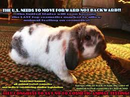 Time For The Us To Lead The Pack Again Not Fall Behind Stop Cosmetic Testing On Animals Cosmetic Animal Testing Animals Fur Babies