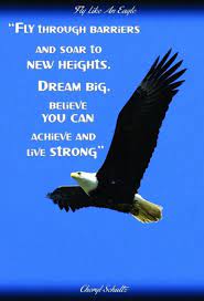 Quotes About Soaring Like Eagles Quotesgram