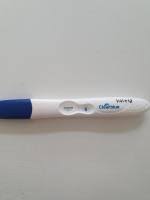 I foglietti illustrativi di ovitrelle sono disponibili per le confezioni ovitrelle 250 microgrammi soluzione iniettabile può essere conservato per un massimo di 30 giorni a temperatura ambiente (non superiore a 25°c) senza. Sst Positiv Schwanger Oder Ret Hcg Von Ovitrelle Urbia De