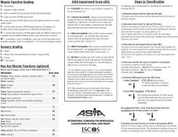 Punctual Asia Chart Spinal Cord Injury Spinal Cord Injury