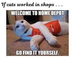 Pin By Belinda Collins On The Home Depot Cat Work Kittens Funny Funny Cat Memes