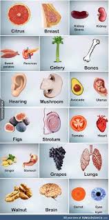 The Shape Which Resembles The Organ Is Beneficial For That Organ Funsubstance Food Shapes Food Borne Illness Health