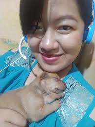 Beautiful Miss Angel sitting in mama's lap! #lovemyjob #minipoodle  #hotdiggitydoggrooming