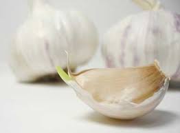 Eat Raw Garlic Every Day Boost Your Health Lose Your Friends Shanghai Daily