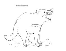 Algorithms of counting popular trends of our website offers to you see some popular coloring pages: Tasmanian Devil Coloring Page By Mama Draw It Teachers Pay Teachers