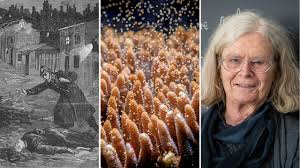 Since jack the ripper was never caught, and since the generic police file that covers his crimes, the whitechapel murders file, actually has eleven victims on it, it is almost impossible to say with any. Top Stories Jack The Ripper Engineering Coral And The First Woman To Win Math S Nobel Science Aaas