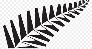 India national cricket team will tour the carribean nation for two test matches, three odis, and three t20is. New Zealand National Cricket Team New Zealand Women S National Cricket Team 2015 Cricket World Cup India National Cricket Team Wm Zeitplan Png Herunterladen 950 499 Kostenlos Transparent Schwarz Png Herunterladen