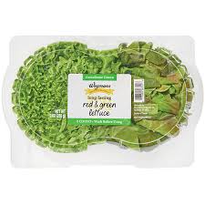Image result for Lettuce Green 1977 Hussmann