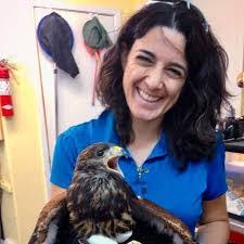 Amy Burnett's Instagram, Twitter & Facebook