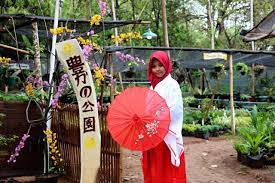 Indonesia memang surganya tempat wisata, ada banyak sekali jenis wisata yang bisa kita pilih, seperti jogja bay bunga sakura di jepang. Wisata Negri Sakura Bayat Klaten Kini Punya Taman Bunga Bernuansa Belanda Halaman All Kompas Com