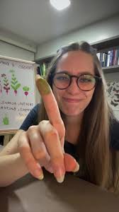 Pragas e doenças 🐜