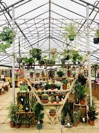 Inside the life and homes of garden antiques experts travers & katie nettleton. Garden Centre Houseplant Display Garden Center Displays Garden Center Indoor Plants