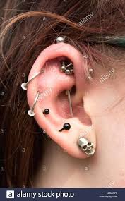 tragus piercing diagram wiring diagrams