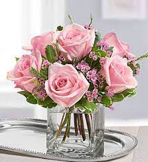 Caspia Flower Essence Best Flower Wallpaper