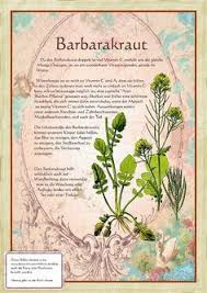 Bilder Aus Dem Buch Alte Heilkrauter Zeichnungen Mit Bildern Pflanzen Krauter Pflanzen Heilpflanzen