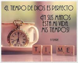 Su Tiempo Es Perfecto Frases Cristianas Palabra De Vida Fe En Dios