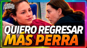 La Casa De Los Famosos Votar