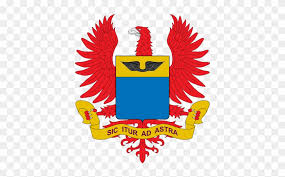De la fuerza aèrea colombiana. From Wikipedia The Free Encyclopedia Escudo Fuerza Aerea Colombiana Free Transparent Png Clipart Images Download