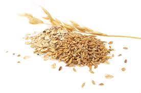 Oats And Oat Hay For Your Horse Equimed Horse Health Matters
