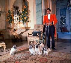 The Duke Of Windsor S Paris Villa Sydney Johnson And The Pugs Pugs Duke And Duchess Pug Dog