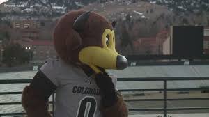 The colorado avalanche (colloquially known as the avs) are a professional ice hockey team based in denver. Chip The Champion Cu S Mascot Brings Home 3rd National Title 9news Com