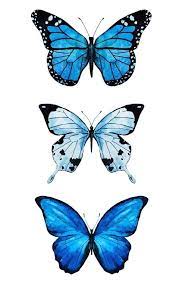 Chloequevillon Lienzo De Mariposa Como Dibujar Mariposas Arte De Mariposa
